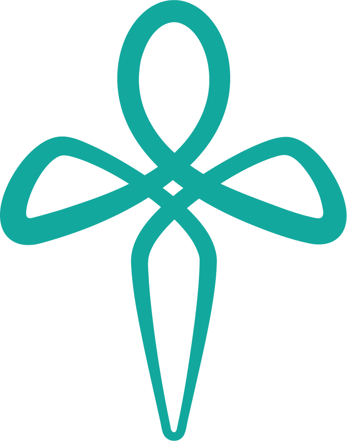 DLS-logo-teal-on-white